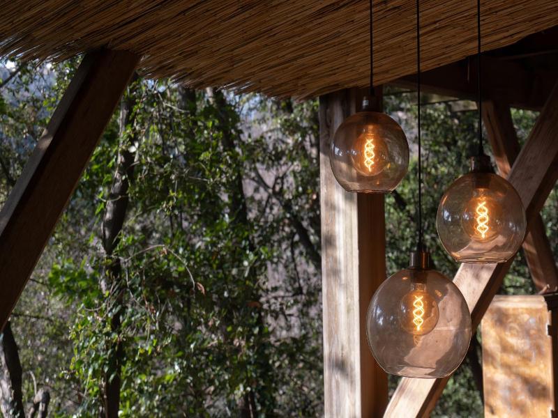 Orion Tree houses image
