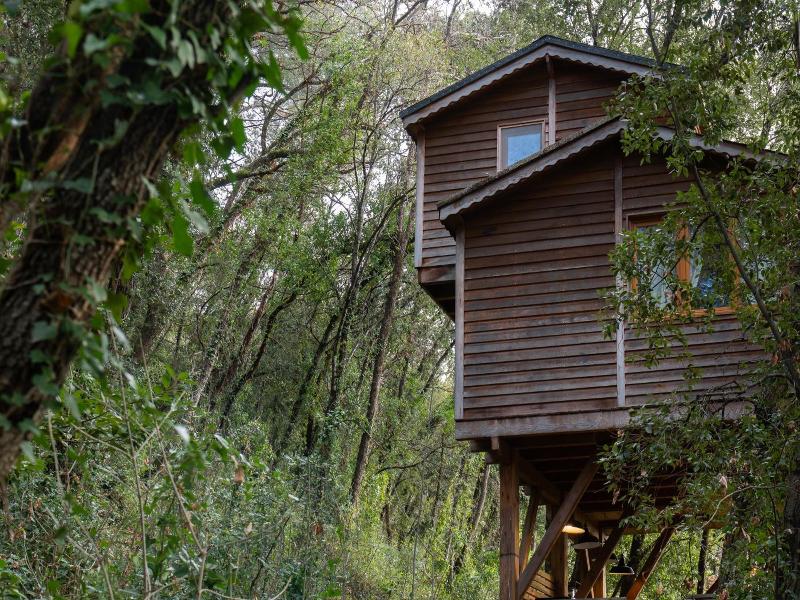Orion Tree houses image
