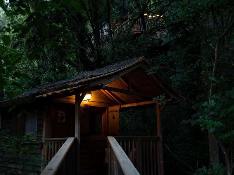 Orion Tree houses image