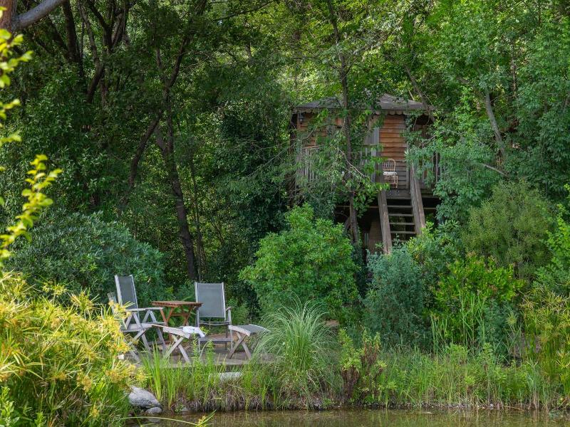 Orion Tree houses image