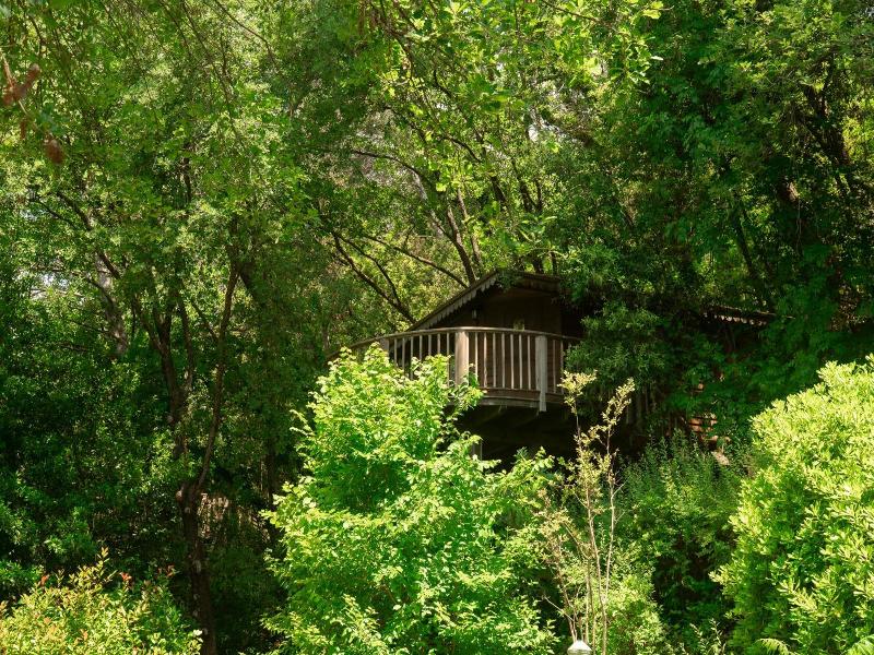Orion Tree houses image