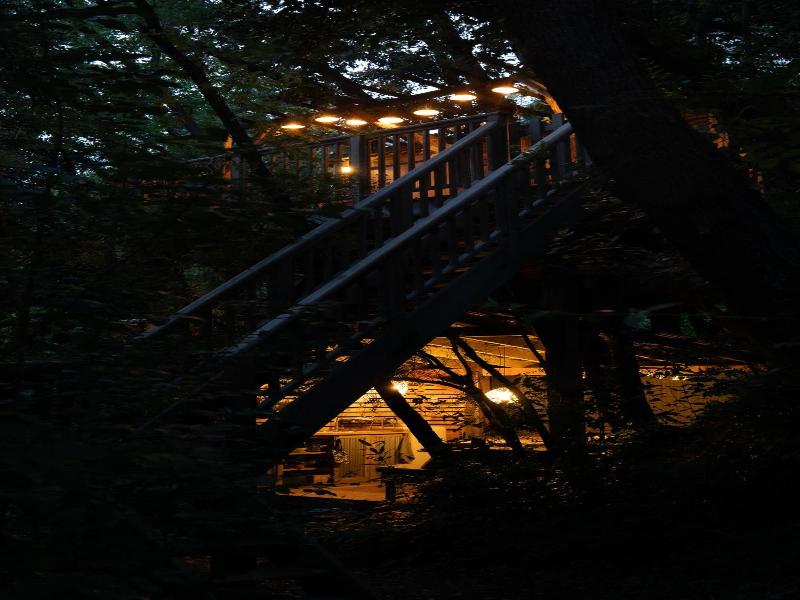 Orion Tree houses image