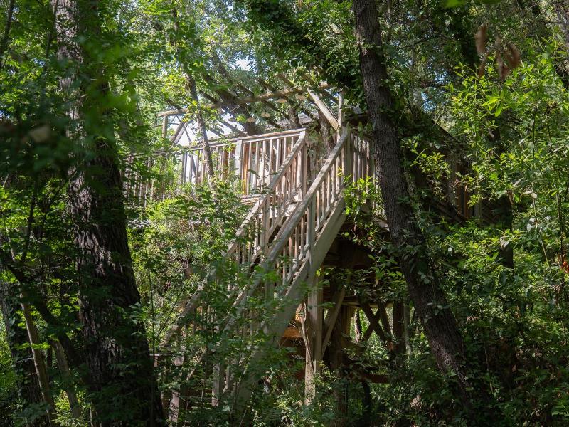 Orion Tree houses image