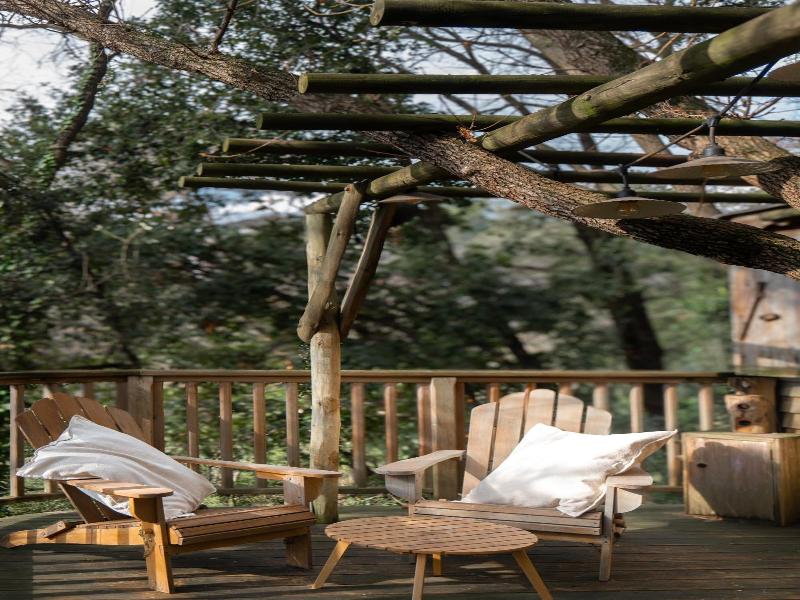 Orion Tree houses image