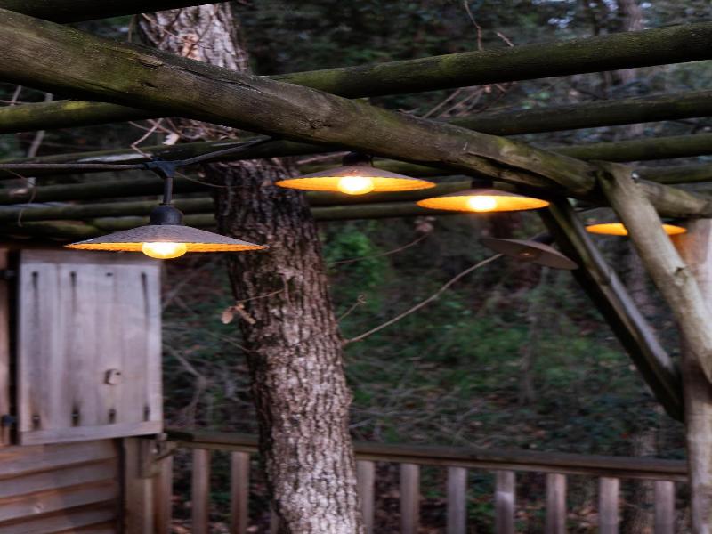 Orion Tree houses image