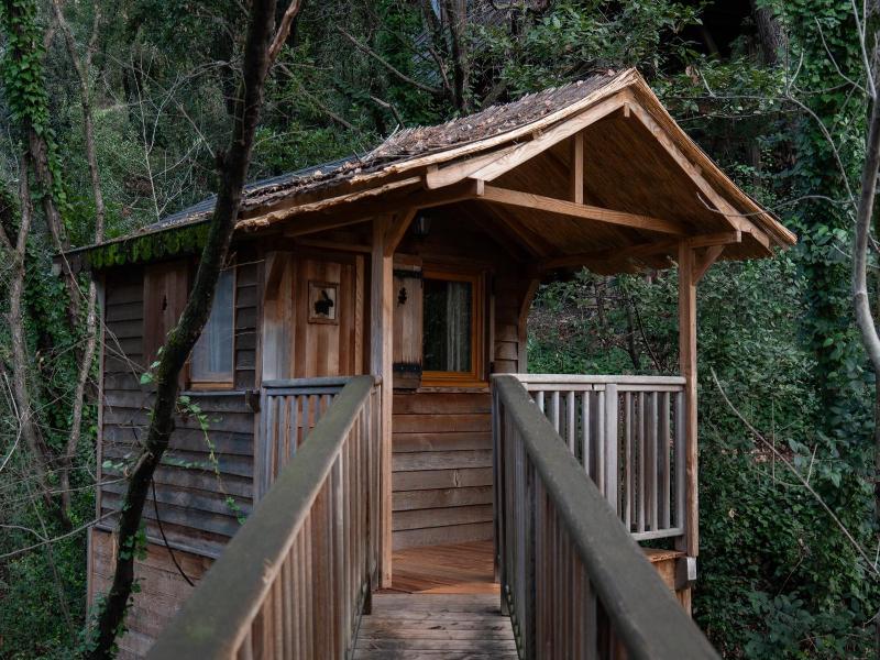 Orion Tree houses image