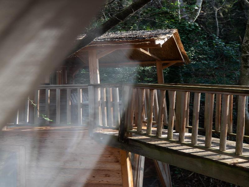 Orion Tree houses image