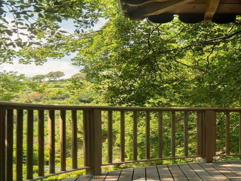 Orion Tree houses image