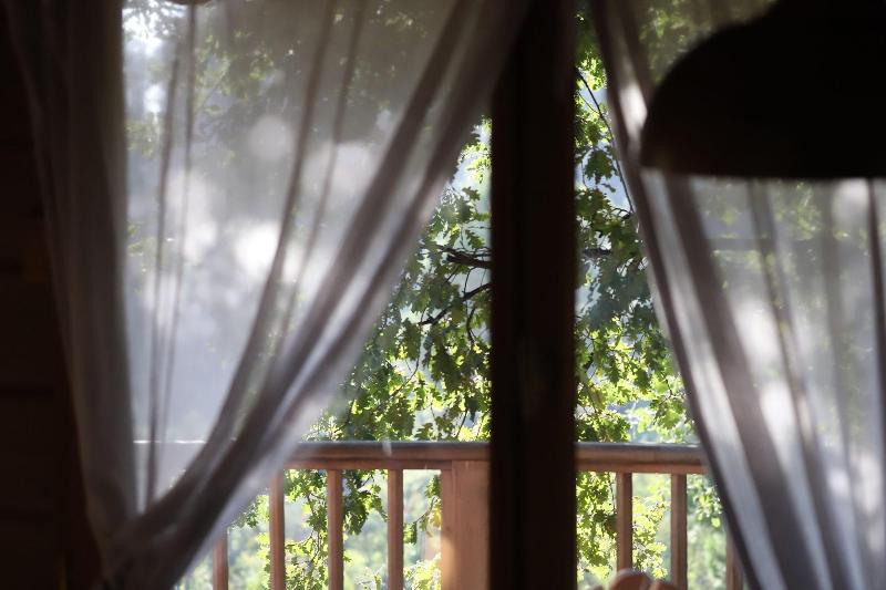 Orion Tree houses image