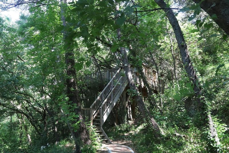Orion Tree houses image