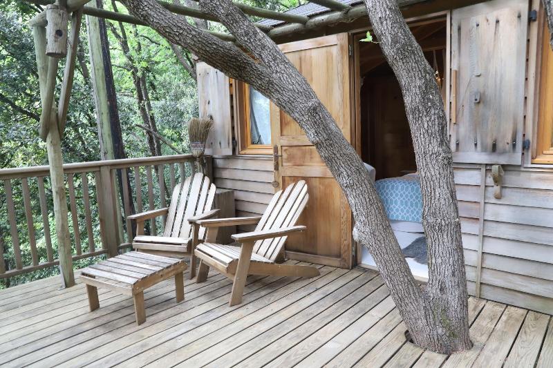 Orion Tree houses image