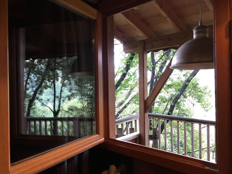Orion Tree houses image