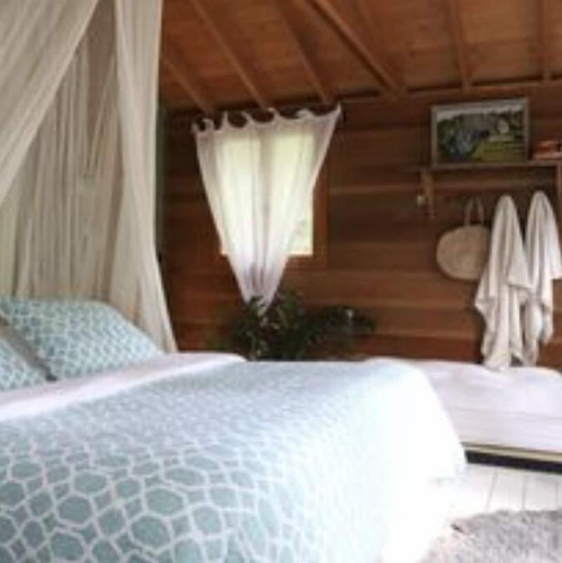 Orion Tree houses image