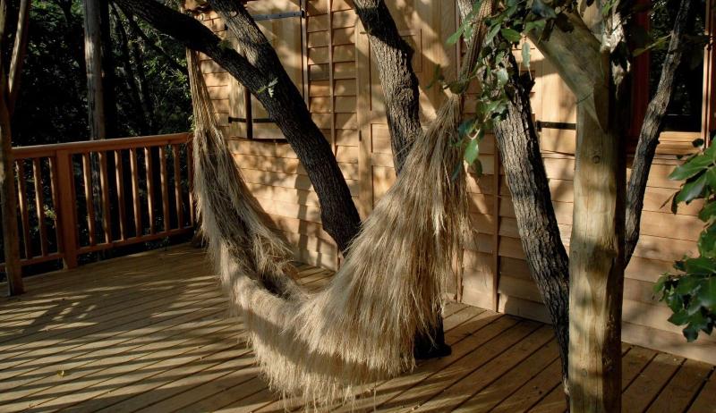 Orion Tree houses image