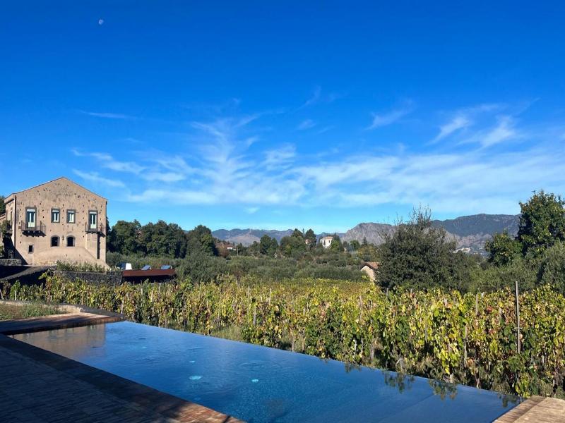 Tenuta di Fessina image