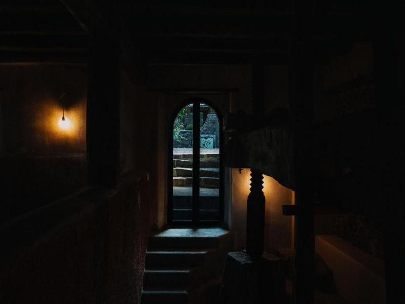 Tenuta di Fessina image