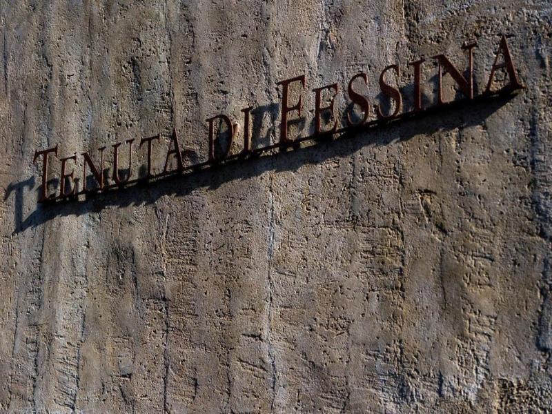 Tenuta di Fessina image