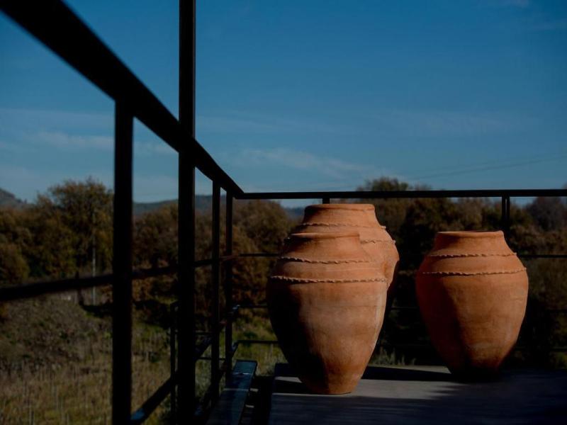 Tenuta di Fessina image