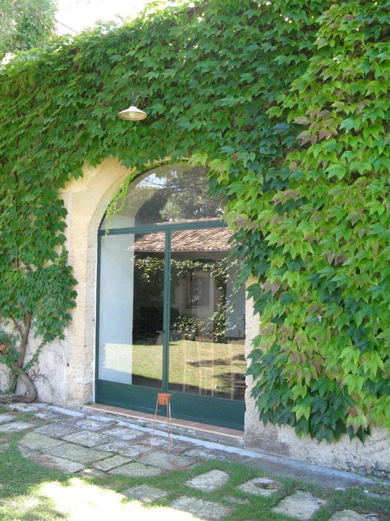 Tenuta Sant'Andrea image