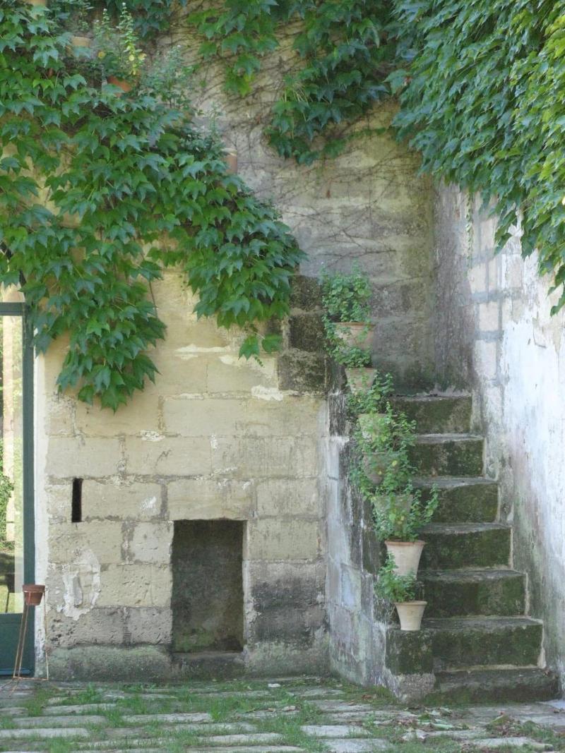Tenuta Sant'Andrea image
