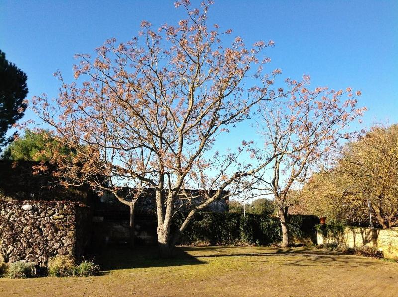 Tenuta Sant'Andrea image