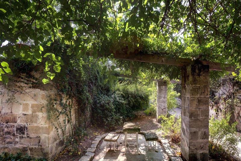 Tenuta Sant'Andrea image