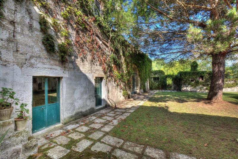 Tenuta Sant'Andrea image