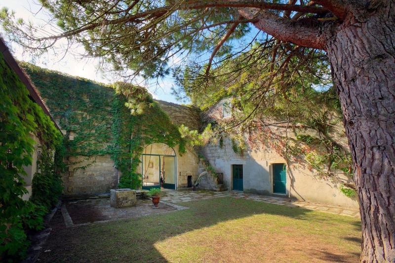 Tenuta Sant'Andrea image