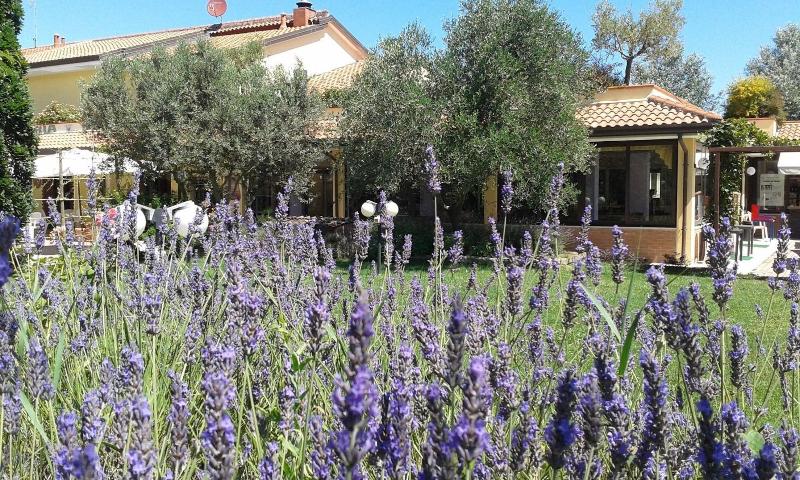 Fattoria Belvedere — photo 4