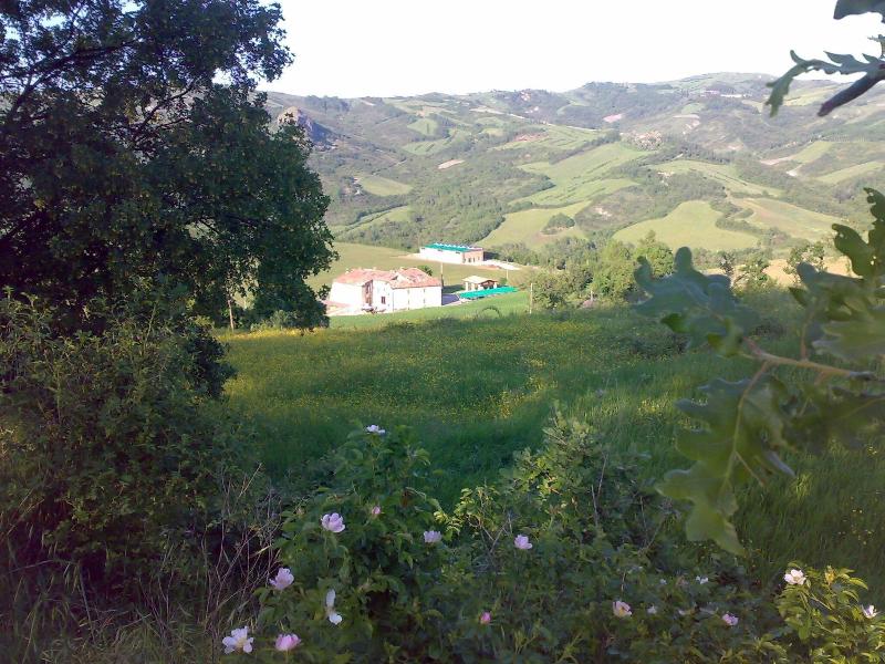 Agriturismo Prato degli Angeli image