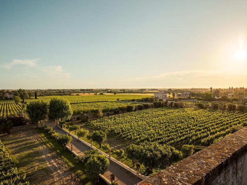 Tenuta Giardini Nuovi image