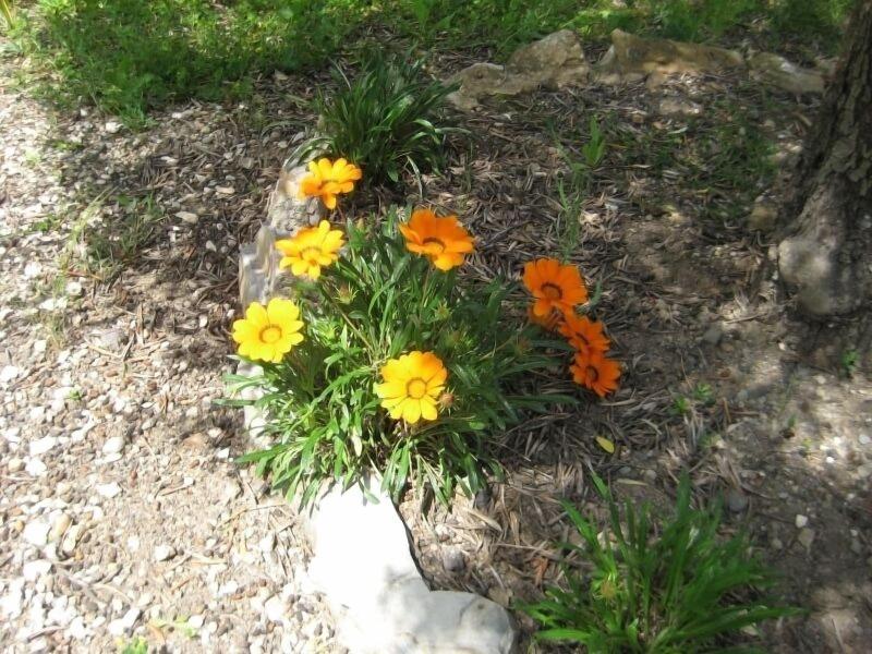 Agriturismo Tenuta Roccaccia — photo 2