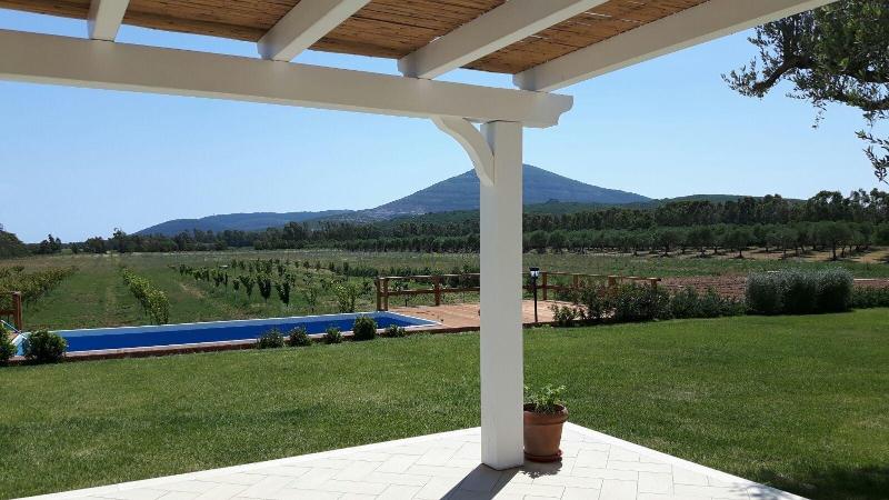 Agriturismo Casale degli Ulivi image