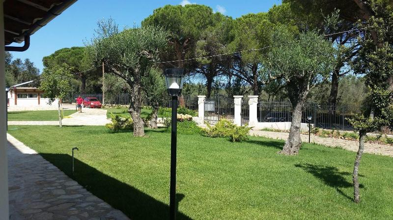 Agriturismo Casale degli Ulivi image