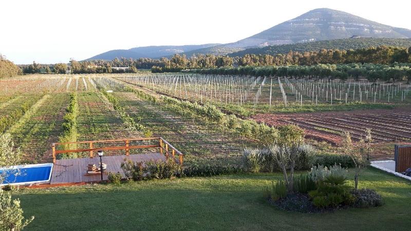 Agriturismo Casale degli Ulivi image
