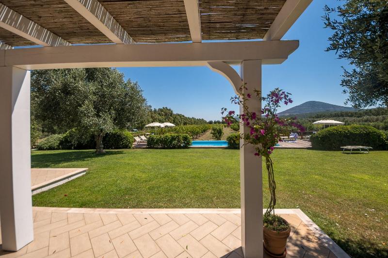Agriturismo Casale degli Ulivi image
