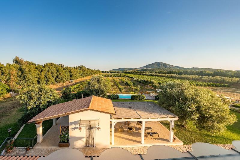 Agriturismo Casale degli Ulivi image