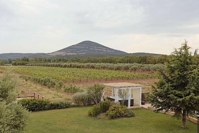 Agriturismo Casale degli Ulivi image