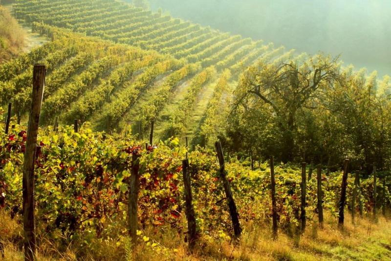 Cascina Desderi image