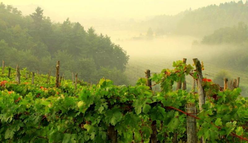 Cascina Desderi image