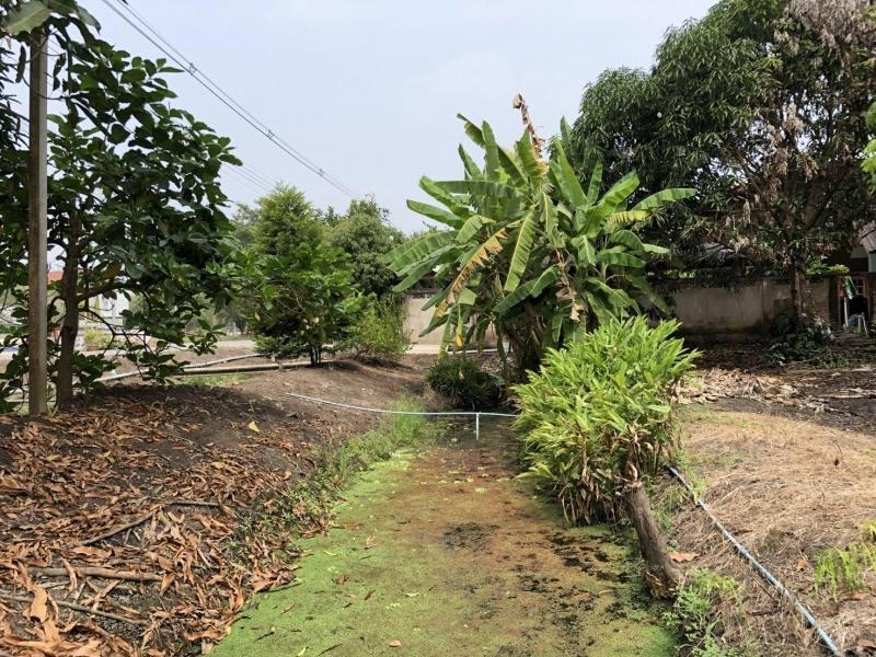 Baan Suan Nuchliang Homestay — photo 2