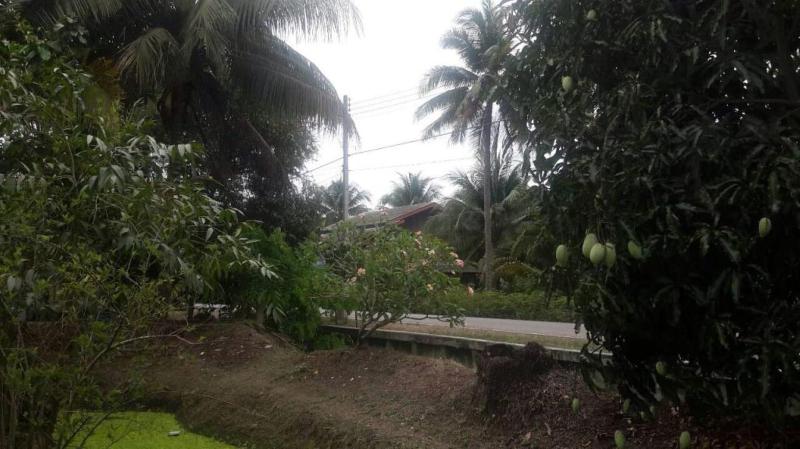Baan Suan Nuchliang Homestay — photo 4