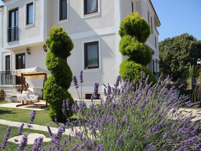 Adacayi Otel image