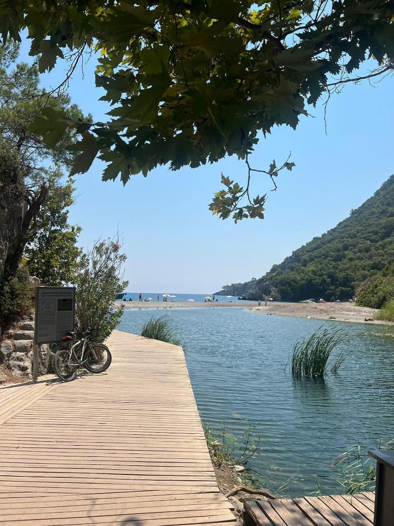 Hotel 212 Olympos
