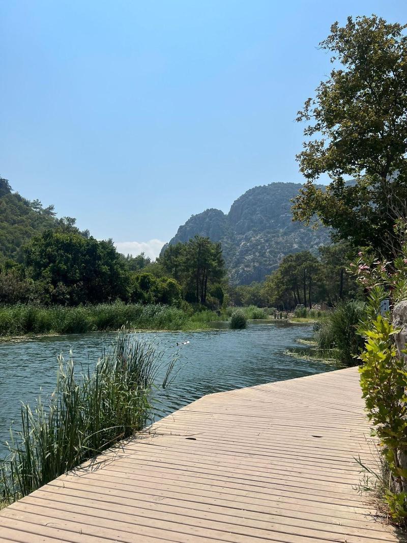 Hotel 212 Olympos — photo 51