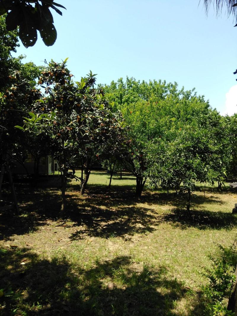 Armina Pension