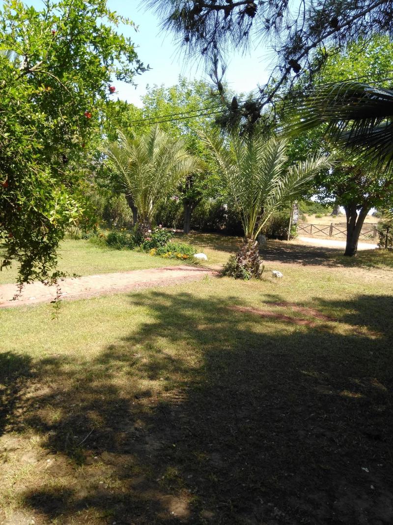Armina Pension
