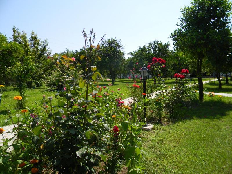 Armina Pension