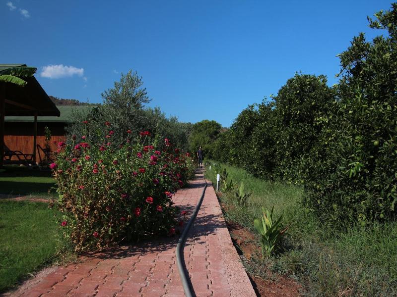 Armina Pension — photo 15