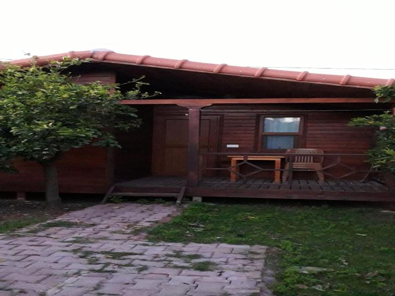 Armina Pension — photo 45